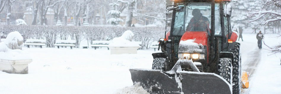 snow